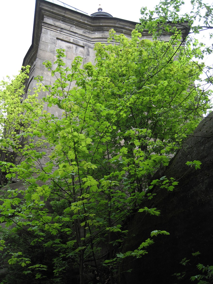 Broumovsko 05-2012