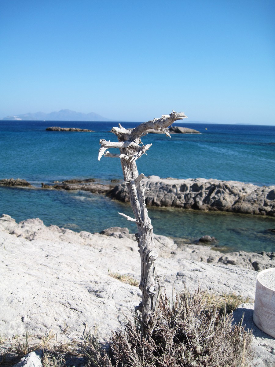 Kos, Kefalos 2011 